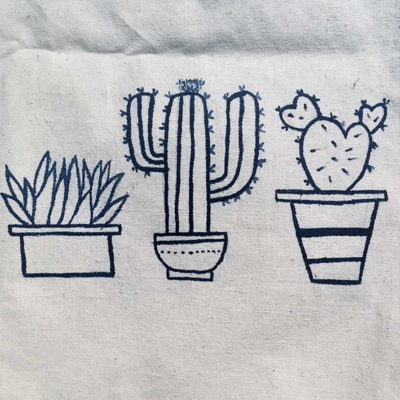 Cactus-Kaktus