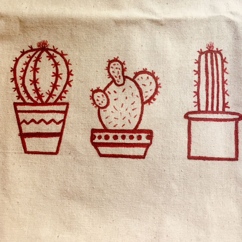 Cactus-Kaktus
